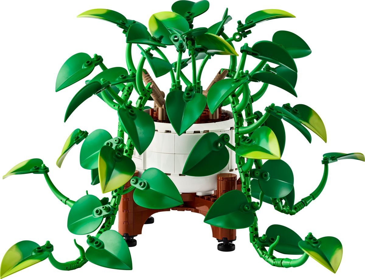 Le set LEGO Botanicals Pothos doré tombant (11512)