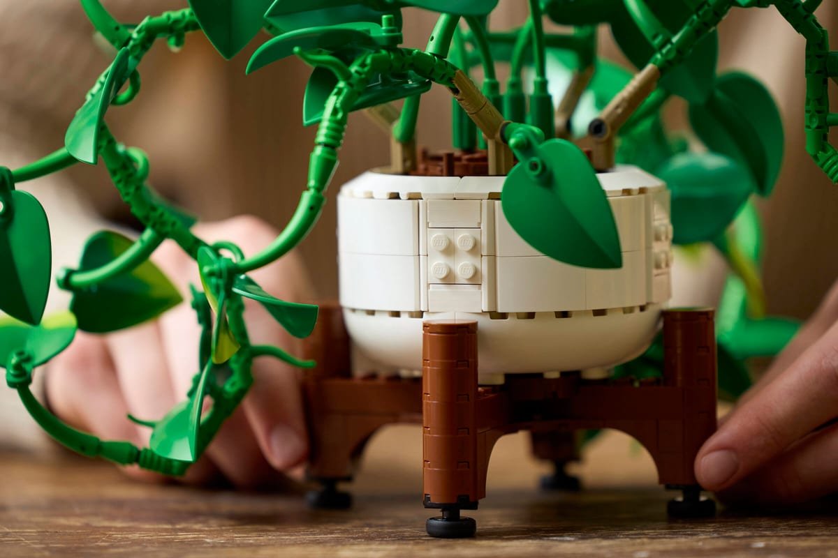Le Pothos doré LEGO en situation