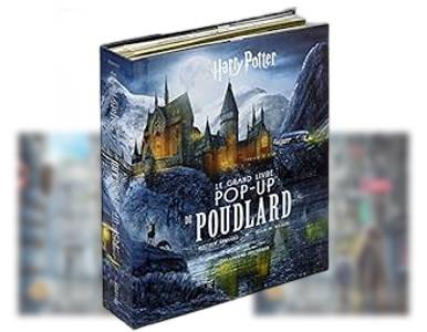 Les livres POP-UP Harry Potter