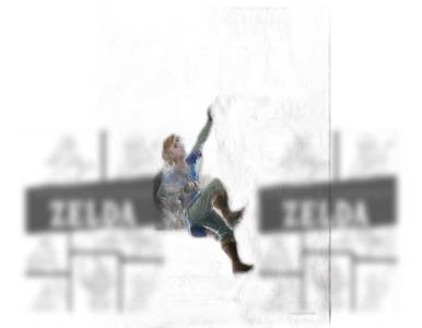 Les livres d'activités Zelda