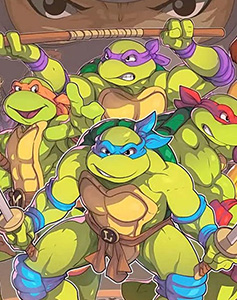 Tortues Ninja