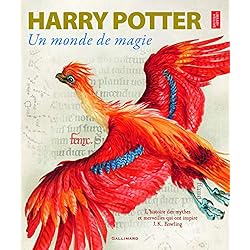 HARRY POTTER UN MONDE DE MAGIE