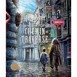 HARRY POTTER - LE GRAND LIVRE POP-UP DU CHEMIN DE TRAVERSE