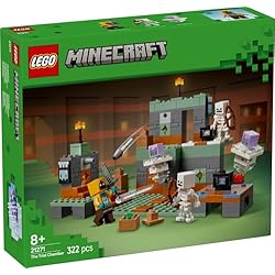 La chambre des épreuves - LEGO Minecraft #21271