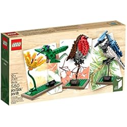 Les oiseaux - LEGO Ideas #21301