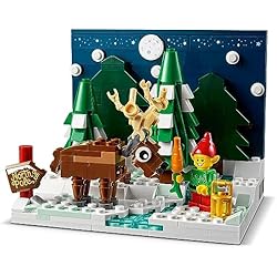 Le jardin du Père Noël - LEGO Saisonnier #40484
