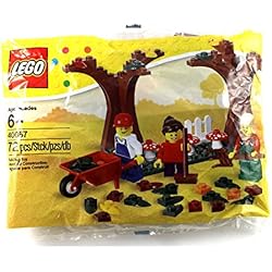 Scène d'Automne - LEGO Saisonnier #40057