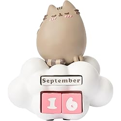 Pusheen  - Grupo Erik