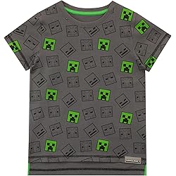 T-shirt Minecraft