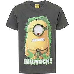 T-shirt pour garçon Les Minions