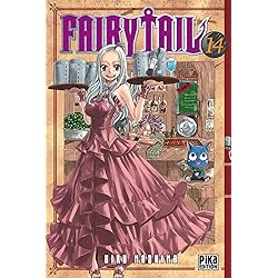 Fairy Tail T14