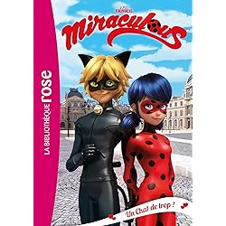 Miraculous 02 - Un Chat de trop !