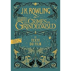 LES ANIMAUX FANTASTIQUES 2 : LES CRIMES DE GRINDELWALD