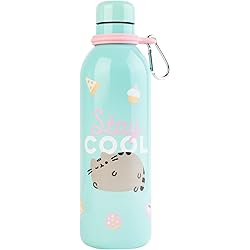 Pusheen  - Grupo Erik