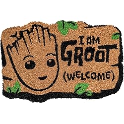 Je s'appelle Groot - Grupo Erik