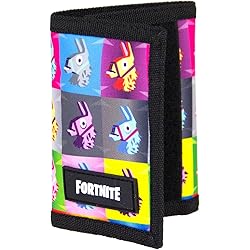 Fortnite - Fortnite