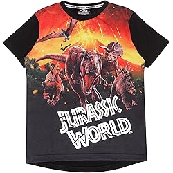 T-shirt pour garçon Jurassic World