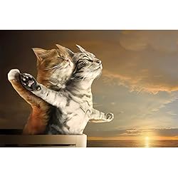 Puzzle Titanic - 1000 pièces  - WACYDSD