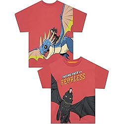 T-shirt pour garçon Dragons Dreamworks