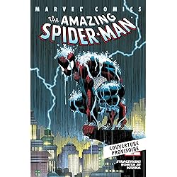 Spider-Man par Straczynski T02 : Les feux de l'amour