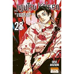 Jujutsu Kaisen T28 (28)